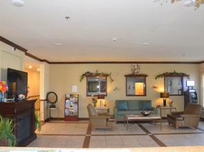 Spark by Hilton Minot