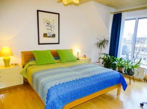 City-Dachapartment Mainz