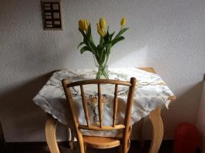 Bed and Breakfast Haag