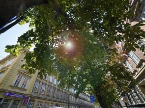 Markiz Luxury Apartments