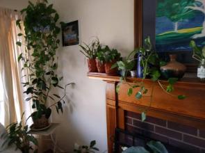 Fairhaven Guesthouse