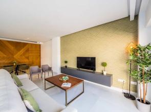 Central Sunny Penthouse Premium Apt