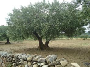 Central 1BR in Theater District by Sonder