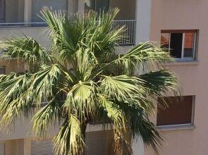 Studio Haut de Gamme - Centre Ville