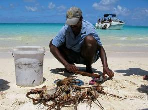 Coin de Paradis Luxury Beachfront Apartment