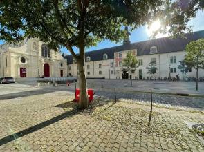 La Cour Barbatre Calme