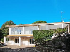 Pigeon Vole (LIS235)