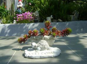 Guest House Marijana