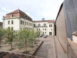 Appartement La Cour du Musée
