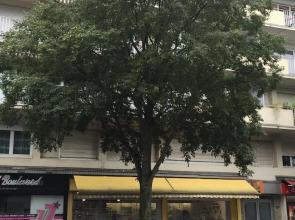 Appartement Lyon Gerland - Enjoy in Lyon