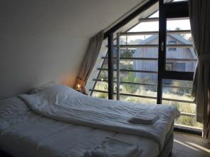 Duinroos Egmond nr 16