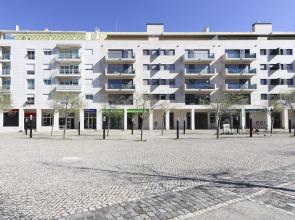 Expo Delight by Homing