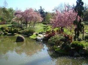 Appartement Université-Capitole