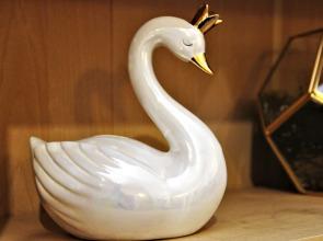 Swan Lake Manchester