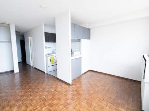 1BR Apt in the Downtown of Montreal