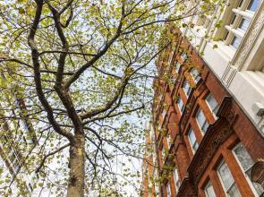 Native Leicester Square