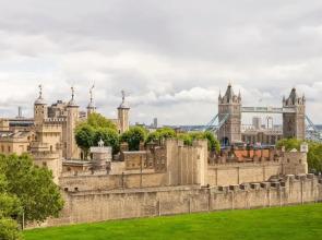 Tower Residences By Blue Orchid