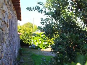 Holiday home Casa do Marinho