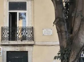 Alfama Concept by Homing