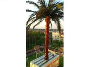 Penthouse in City Centre