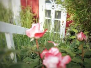 "Gemütlich" 1-Zimmer Apartment nah am Wald