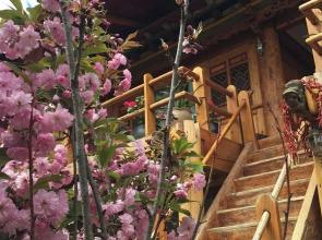 Tibetan-style Courtyard Hotel