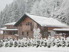 Wohlfhlappartements Der Wildbachhof