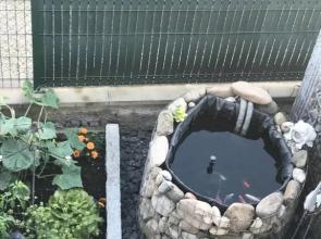 CaSavernoise O SONHO