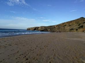 Vale Da Telha Natural Paradise