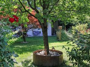 Innsbruck Apartment Nigler