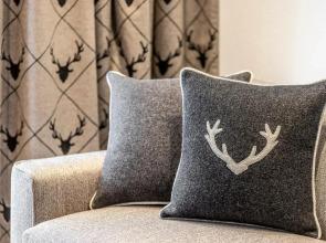 Unique Alpic style apartment in the heart of Davos