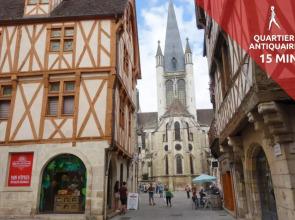 Sweet Home Dijon-Arquebuse