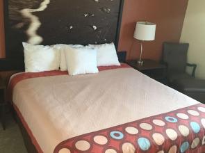 Super 8 College Station