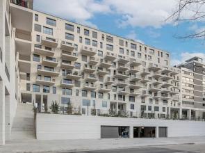 Antas Green Executive