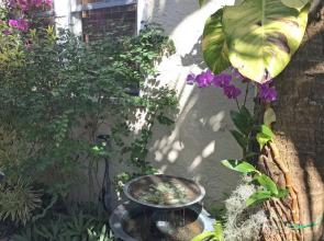 The Cottage at Pineapple House