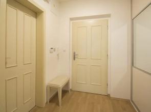 Luxurious Apartment near Prague Castle