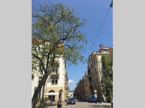 Altbauwohnung am Gutenbergplatz