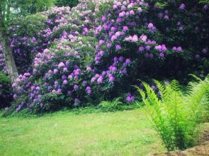 Villa Brodthage, App. 2