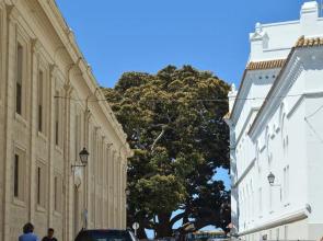 Apartamento Vieja Habana