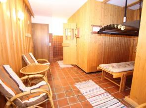 Charming Apartment With Swimming Pool and Sauna in Styria