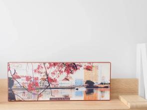 Liiiving in Matosinhos- Colorwave Terrace House