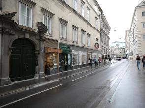 Heart of Vienna - City Apartment