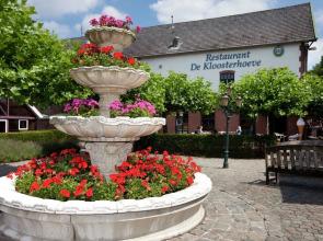 Luxurious Detached Villa with Washer, in de Maasduinen Area