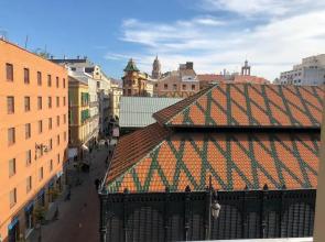 Mercado Centro Historico Arriola