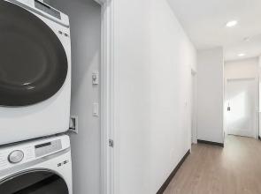 Solo's Smuggler Suite