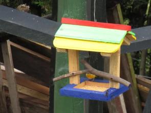 Hotel Momotus Cocora