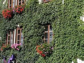 Pension Johanna Specht