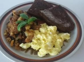 Vancouver Traveller B&B