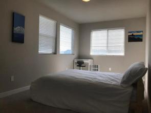 Seattle Urban Village