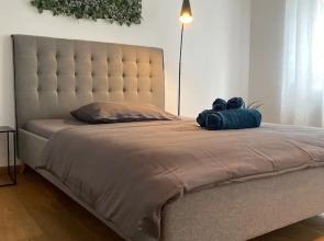 Room-spacious Room in Coliving Apartment